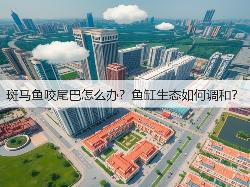斑马鱼咬尾巴怎么办？鱼缸生态如何调和？