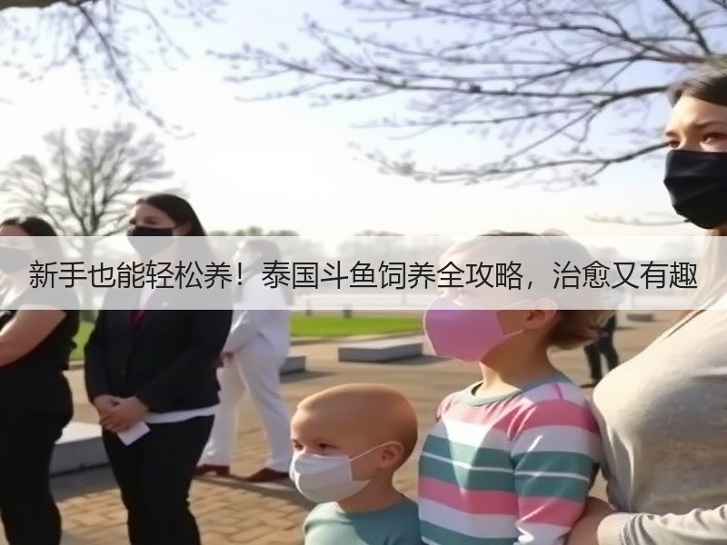 新手也能轻松养！泰国斗鱼饲养全攻略，治愈