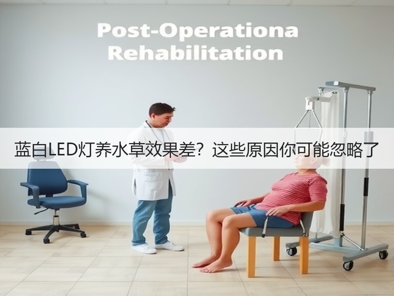 蓝白LED灯养水草效果差？这些原因你可能