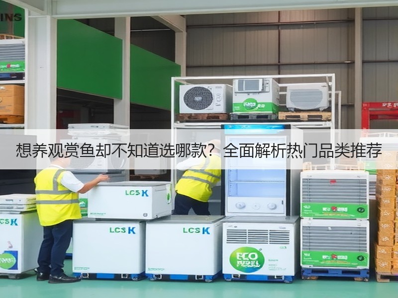 想养观赏鱼却不知道选哪款？全面解析热门品