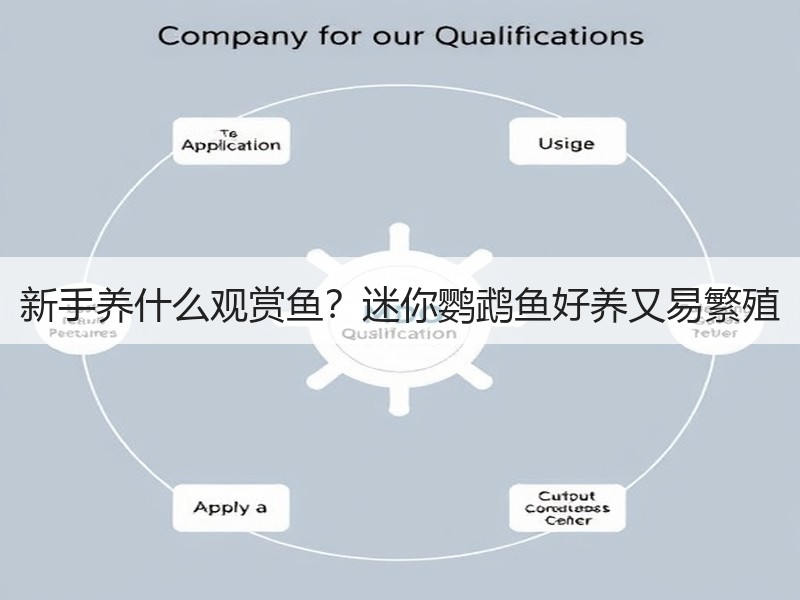 新手养什么观赏鱼？迷你鹦鹉鱼好养又易繁殖
