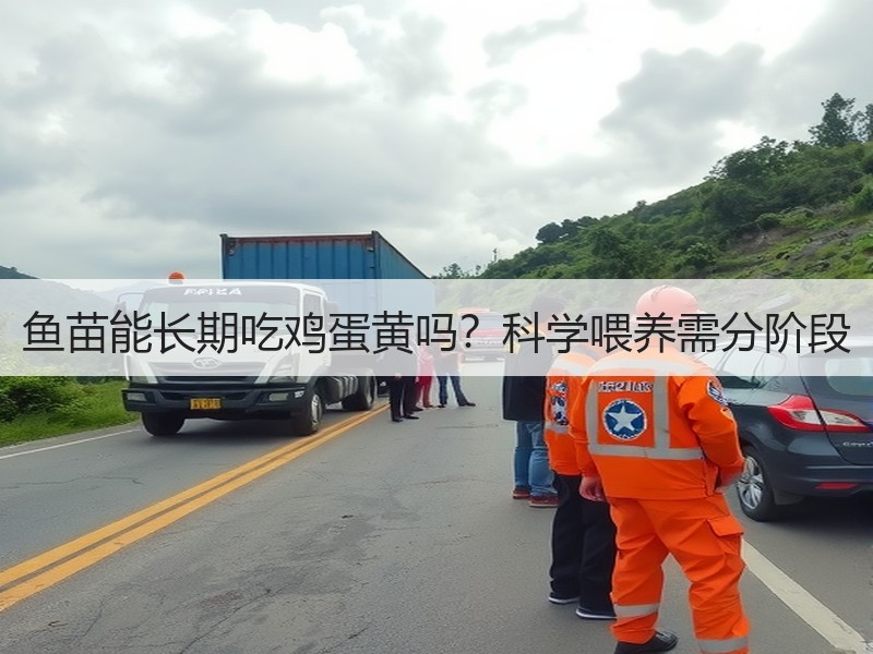 鱼苗能长期吃鸡蛋黄吗？科学喂养需分阶段