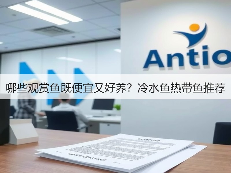 哪些观赏鱼既便宜又好养？冷水鱼热带鱼推荐