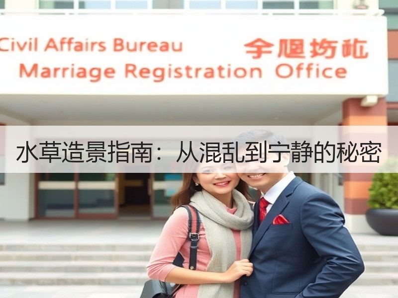 水草造景指南：从混乱到宁静的秘密