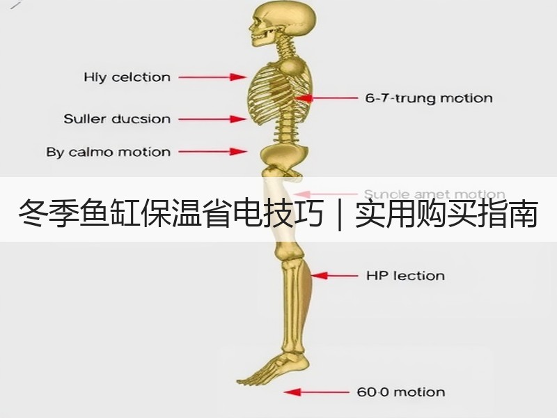 冬季鱼缸保温省电技巧｜实用购买指南