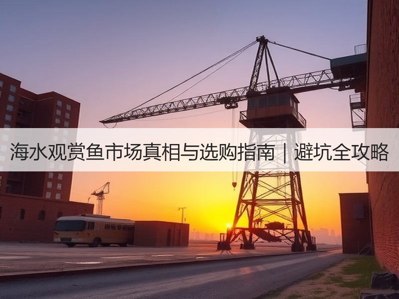 海水观赏鱼市场真相与选购指南｜避坑全攻略