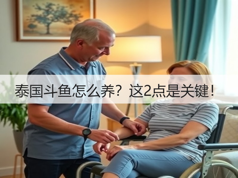 泰国斗鱼怎么养？这2点是关键！