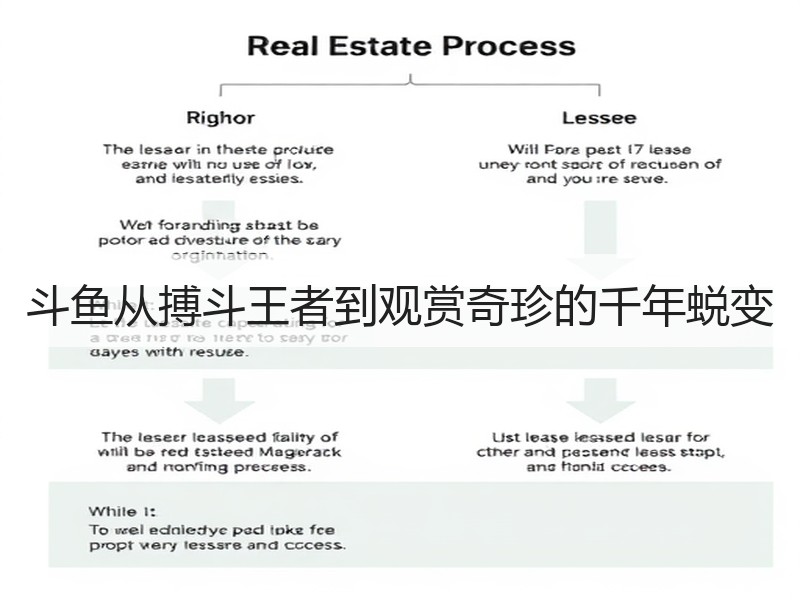 斗鱼从搏斗王者到观赏奇珍的千年蜕变