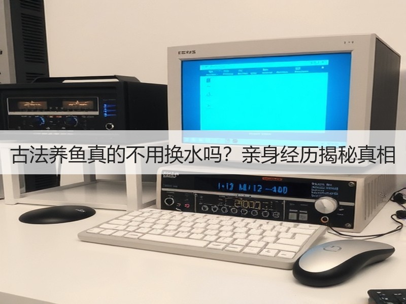 古法养鱼真的不用换水吗？亲身经历揭秘真相