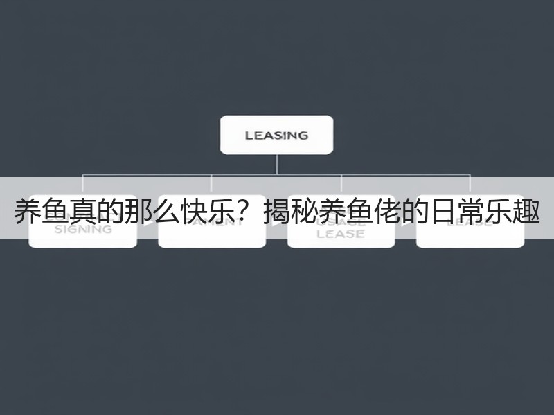 养鱼真的那么快乐？揭秘养鱼佬的日常乐趣