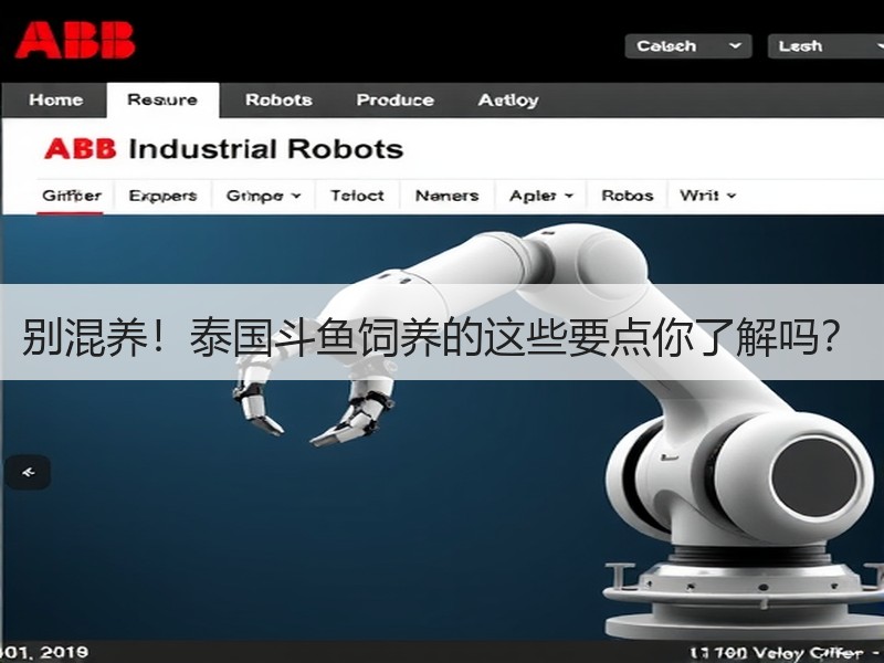 别混养！泰国斗鱼饲养的这些要点你了解吗？