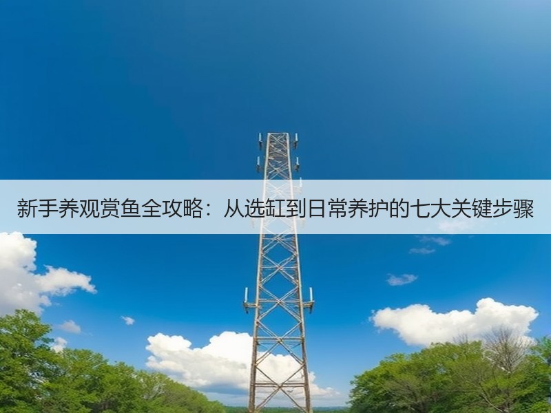 新手养观赏鱼全攻略：从选缸到日常养护的七