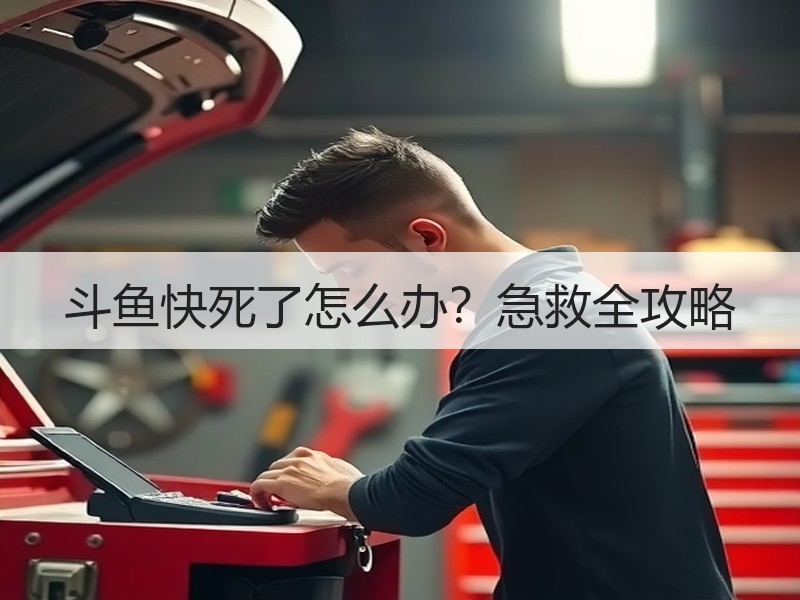 斗鱼快死了怎么办？急救全攻略