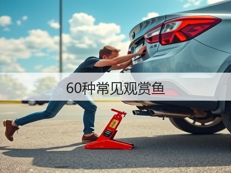 60种常见观赏鱼