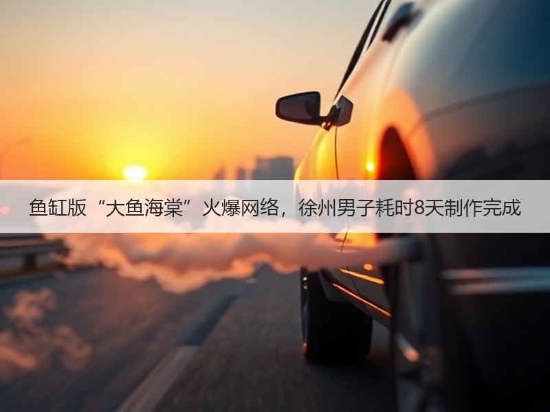 鱼缸版“大鱼海棠”火爆网络，徐州男子耗时