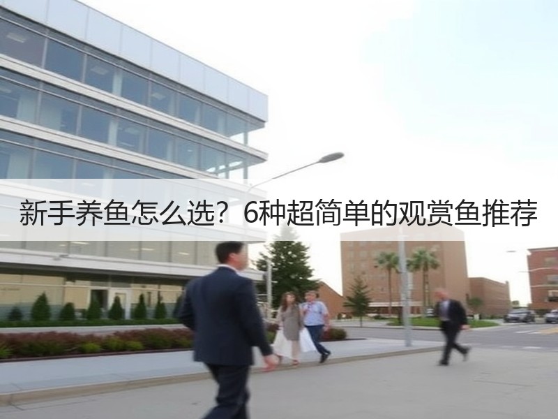 新手养鱼怎么选？6种超简单的观赏鱼推荐