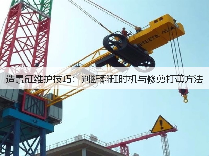 造景缸维护技巧：判断翻缸时机与修剪打薄方