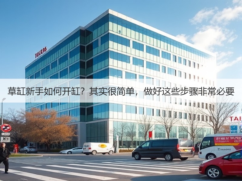 草缸新手如何开缸？其实很简单，做好这些步