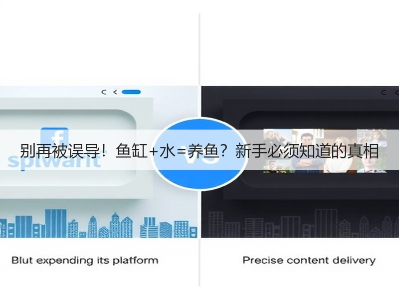 别再被误导！鱼缸+水=养鱼？新手必须知道