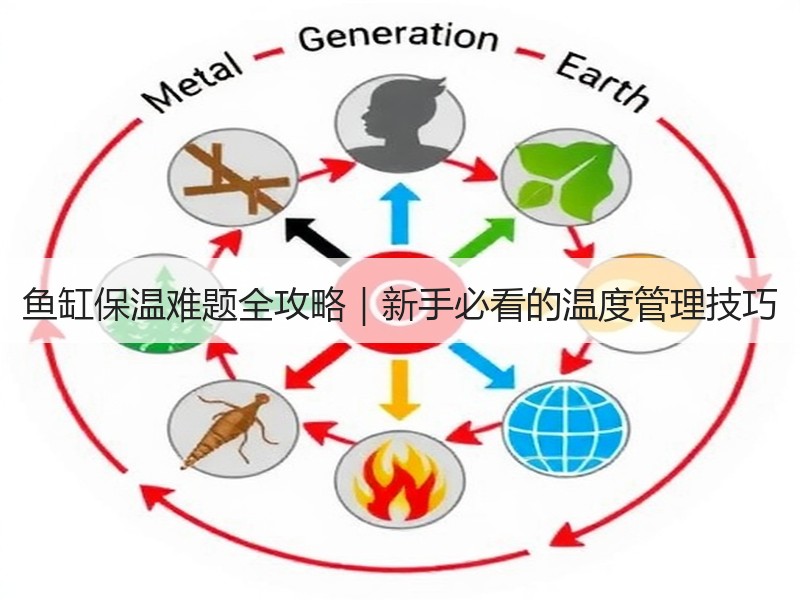 鱼缸保温难题全攻略｜新手必看的温度管理技