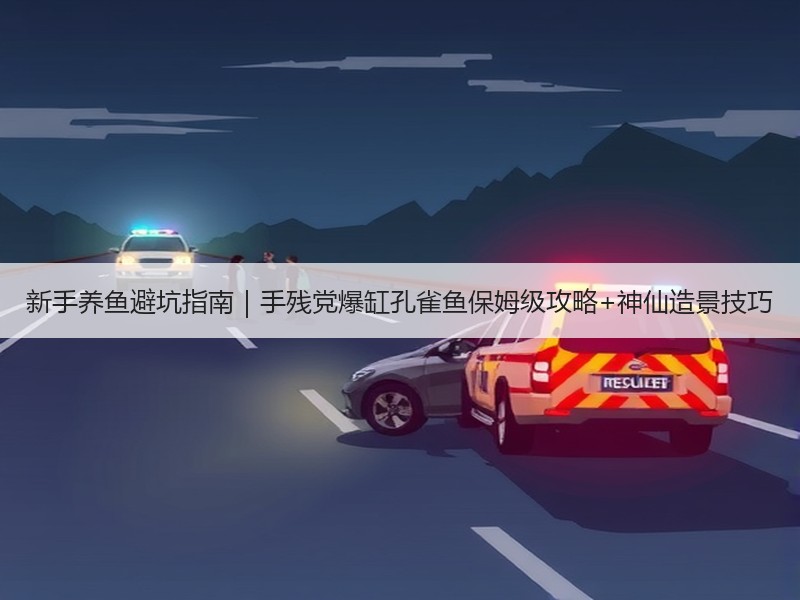 新手养鱼避坑指南｜手残党爆缸孔雀鱼保姆级