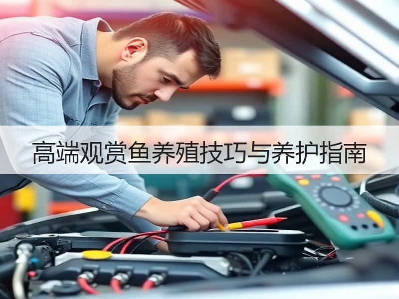 高端观赏鱼养殖技巧与养护指南