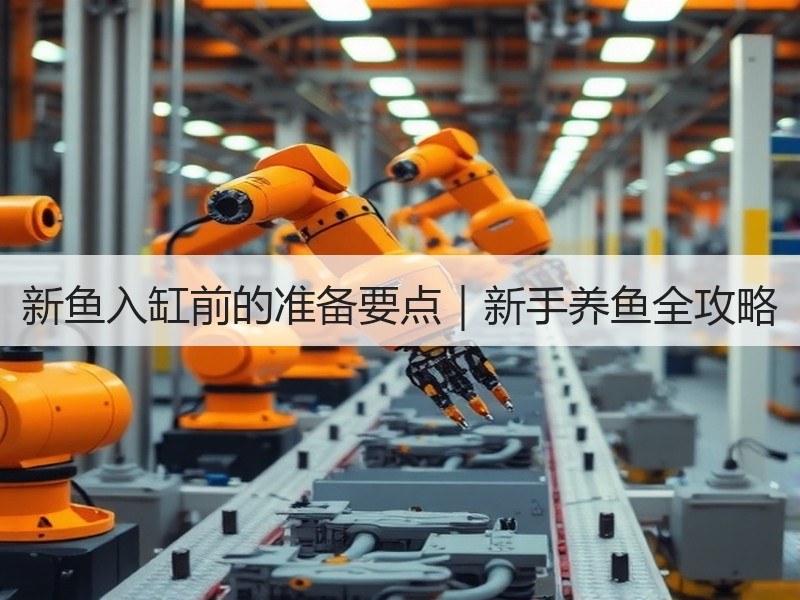 新鱼入缸前的准备要点｜新手养鱼全攻略