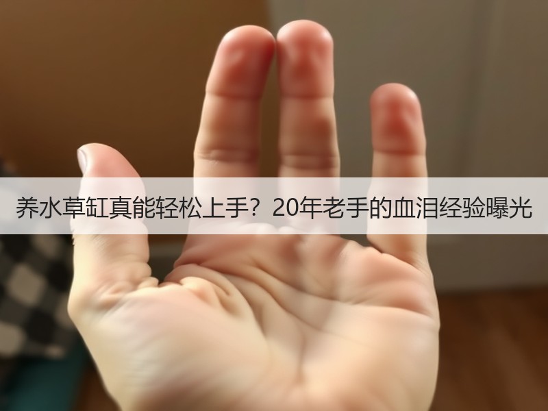 养水草缸真能轻松上手？20年老手的血泪经