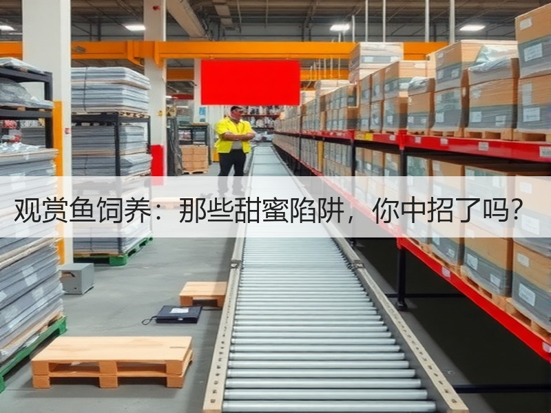 观赏鱼饲养：那些甜蜜陷阱，你中招了吗？