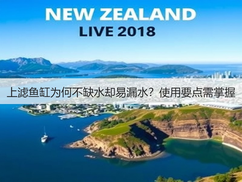 上滤鱼缸为何不缺水却易漏水？使用要点需掌