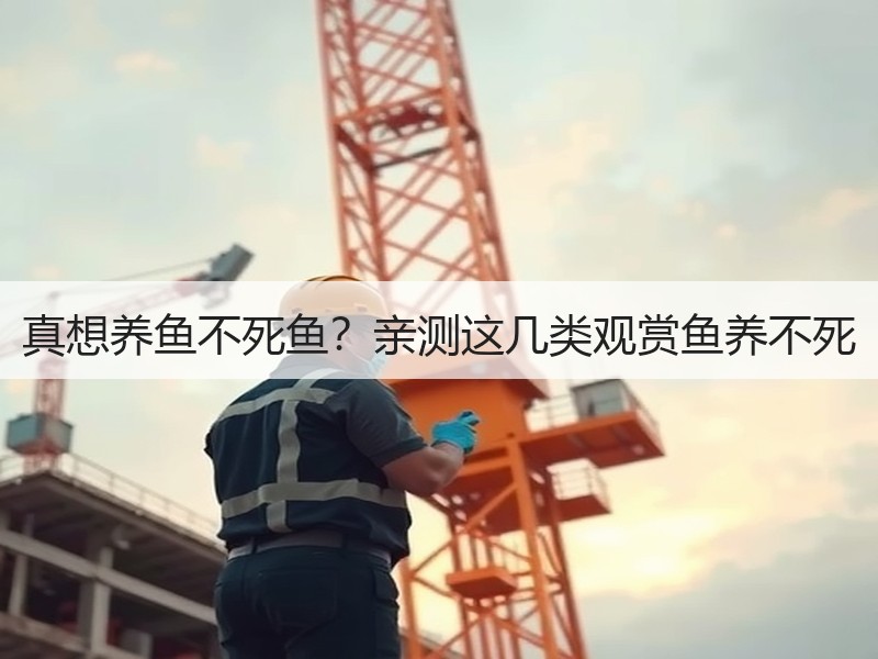 真想养鱼不死鱼？亲测这几类观赏鱼养不死