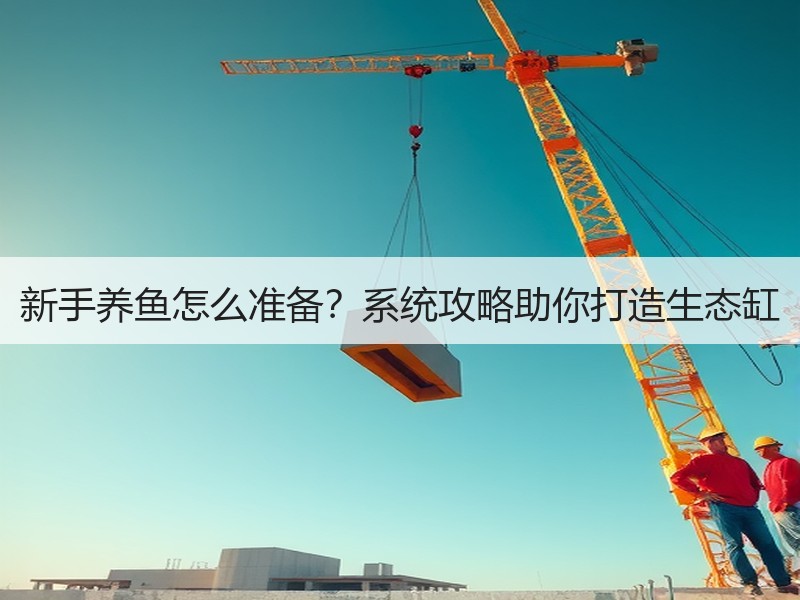 新手养鱼怎么准备？系统攻略助你打造生态缸