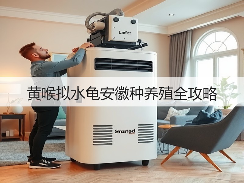 黄喉拟水龟安徽种养殖全攻略