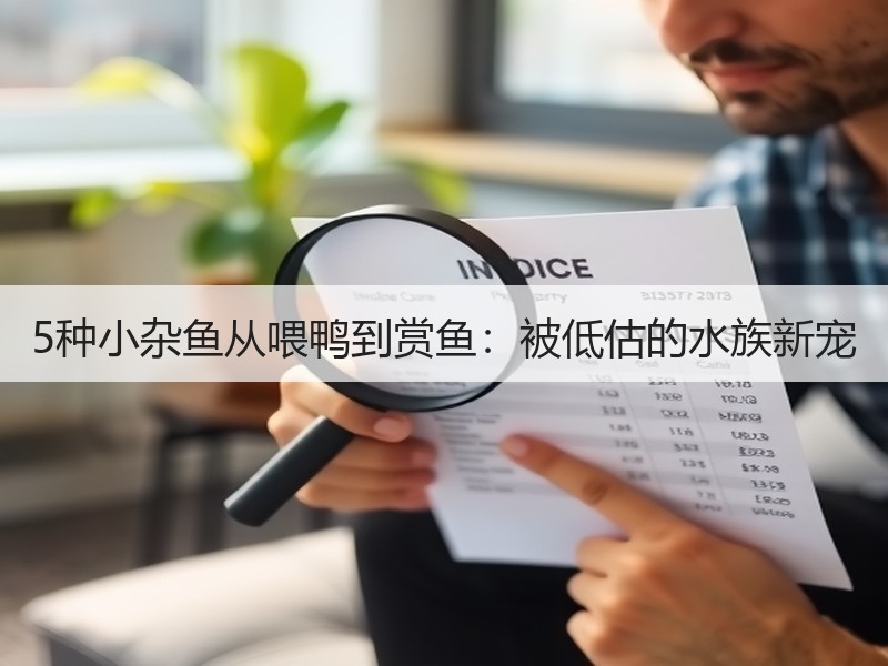 5种小杂鱼从喂鸭到赏鱼：被低估的水族新宠