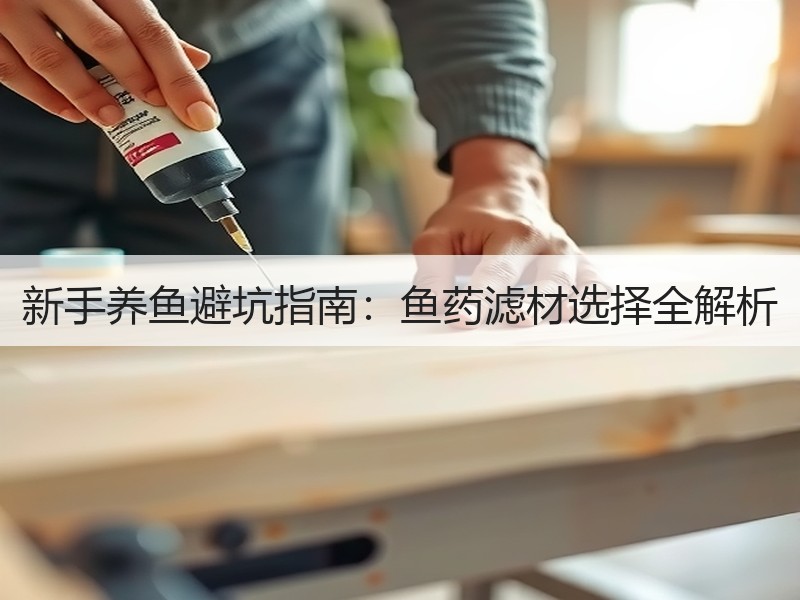 新手养鱼避坑指南：鱼药滤材选择全解析