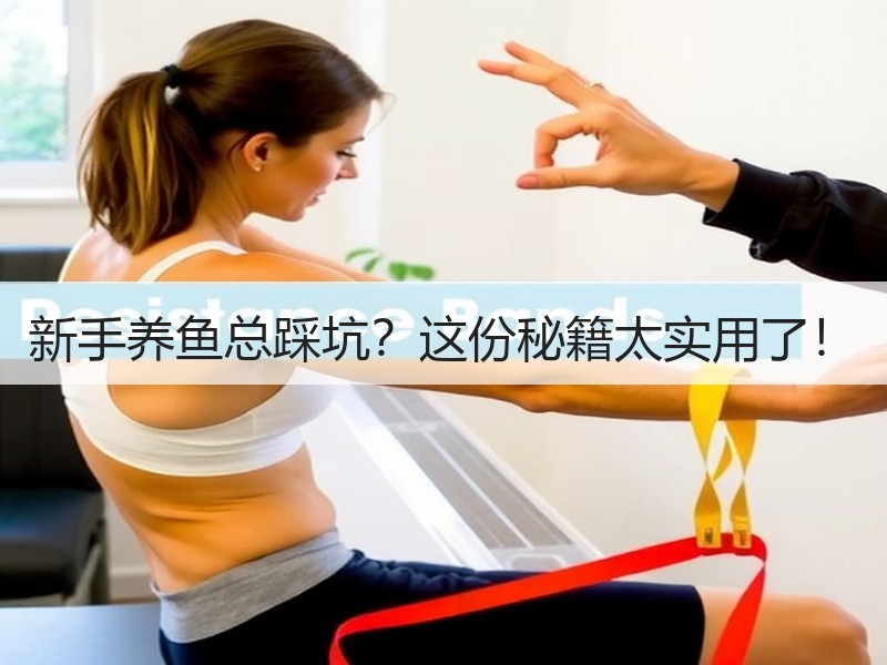 新手养鱼总踩坑？这份秘籍太实用了！