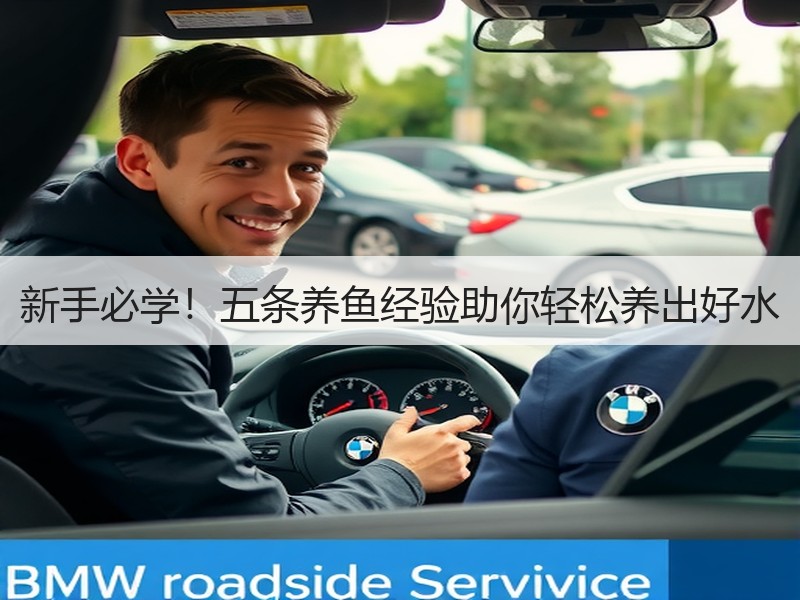 新手必学！五条养鱼经验助你轻松养出好水