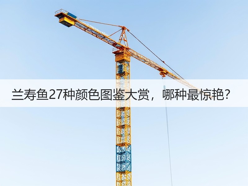 兰寿鱼27种颜色图鉴大赏，哪种最惊艳？