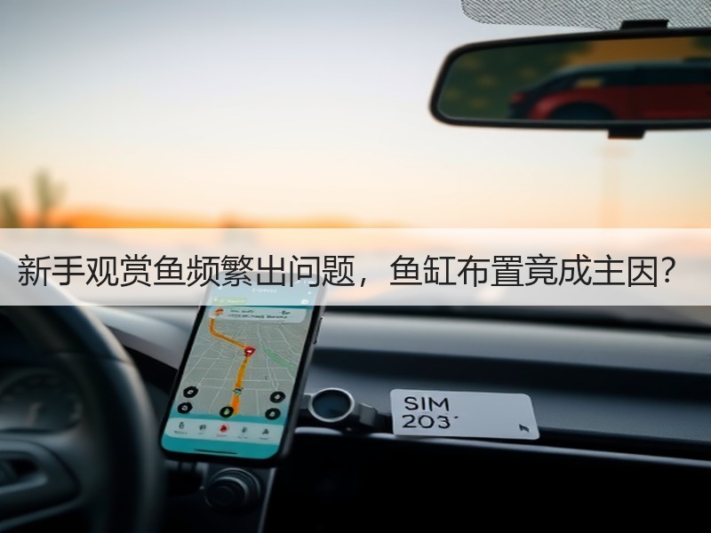 新手观赏鱼频繁出问题，鱼缸布置竟成主因？