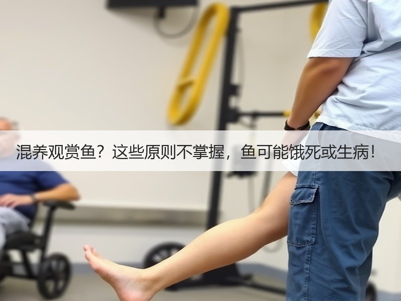 混养观赏鱼？这些原则不掌握，鱼可能饿死或