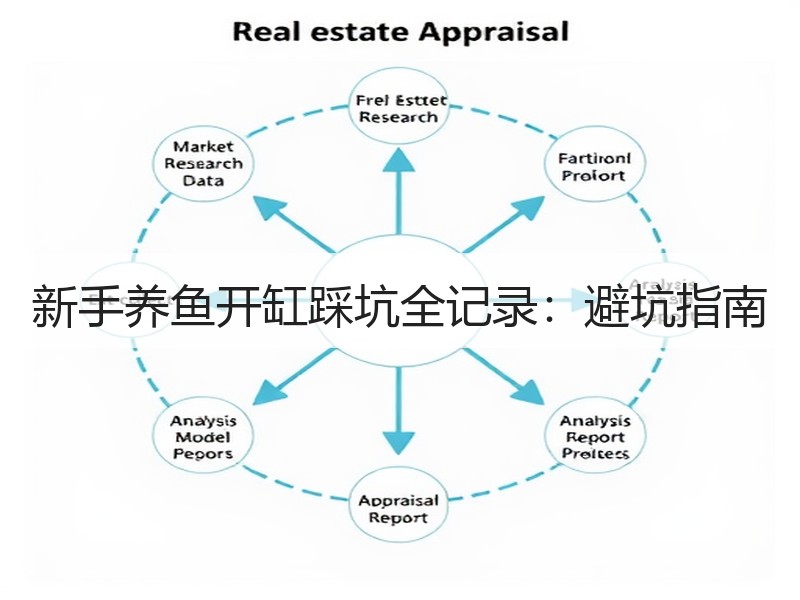 新手养鱼开缸踩坑全记录：避坑指南