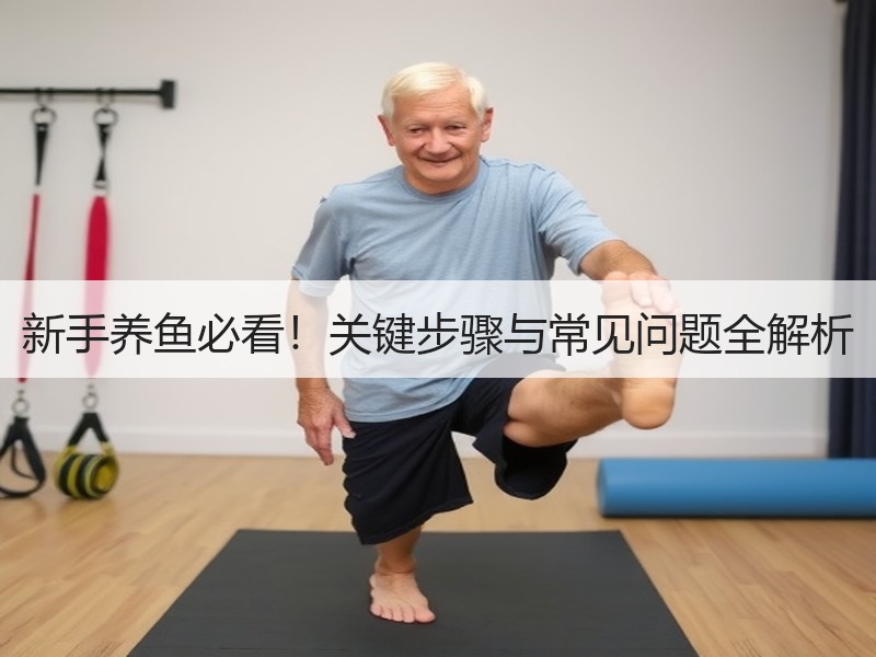 新手养鱼必看！关键步骤与常见问题全解析