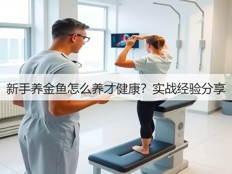 新手养金鱼怎么养才健康？实战经验分享
