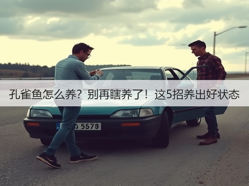 孔雀鱼怎么养？别再瞎养了！这5招养出好状