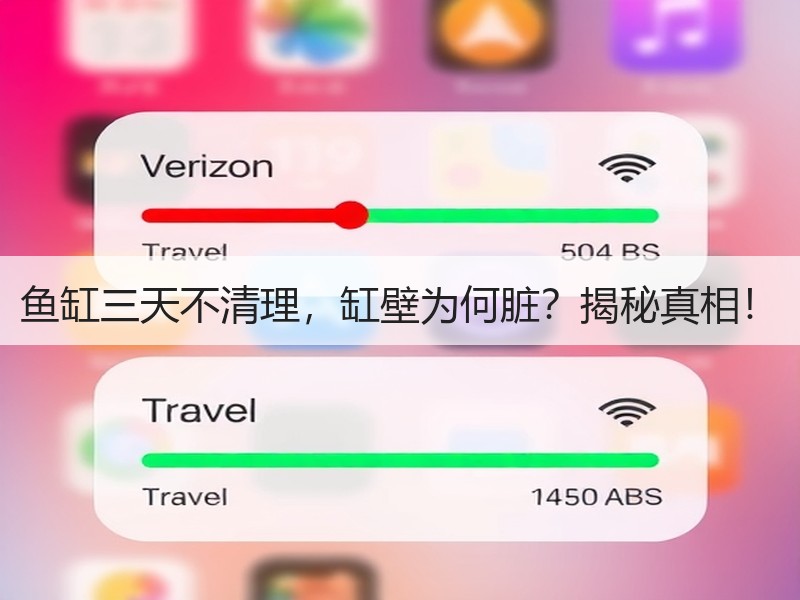 鱼缸三天不清理，缸壁为何脏？揭秘真相！
