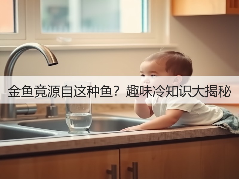 金鱼竟源自这种鱼？趣味冷知识大揭秘