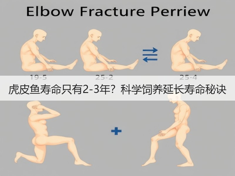 虎皮鱼寿命只有2-3年？科学饲养延长寿命
