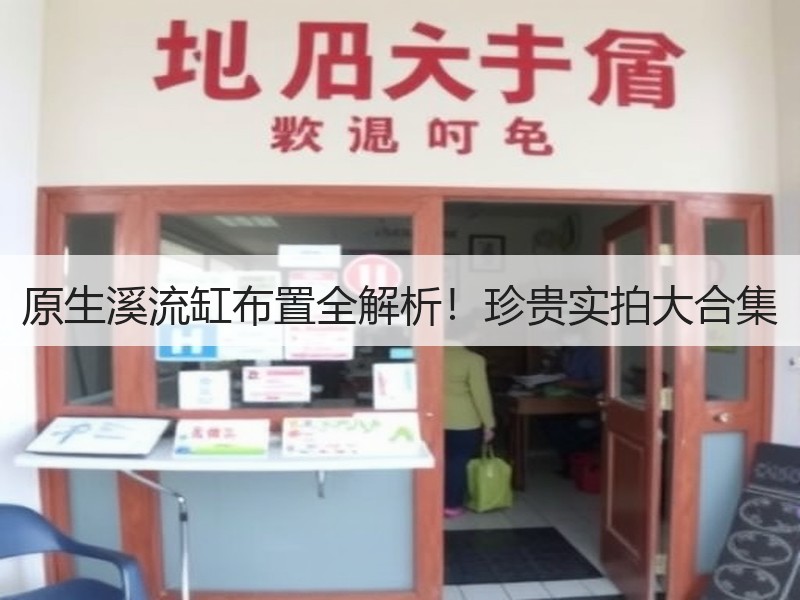 原生溪流缸布置全解析！珍贵实拍大合集