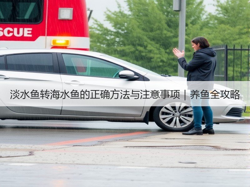 淡水鱼转海水鱼的正确方法与注意事项｜养鱼