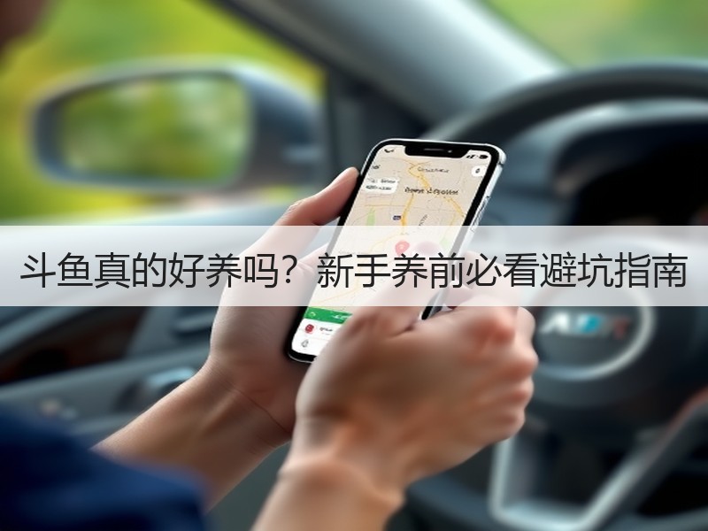 斗鱼真的好养吗？新手养前必看避坑指南